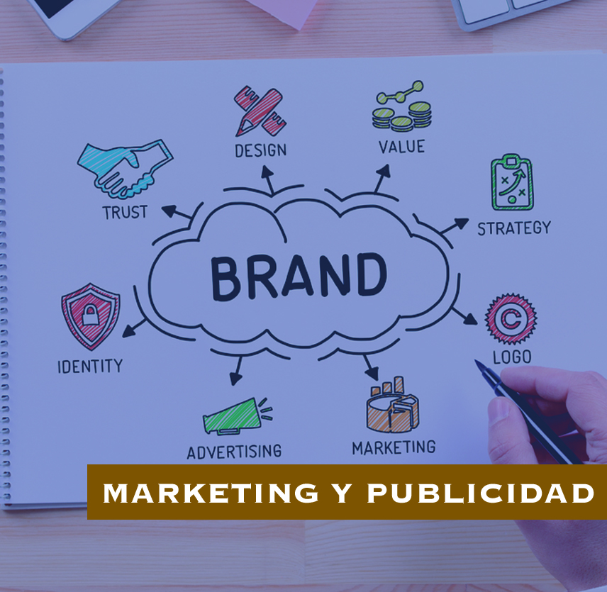 Servicios